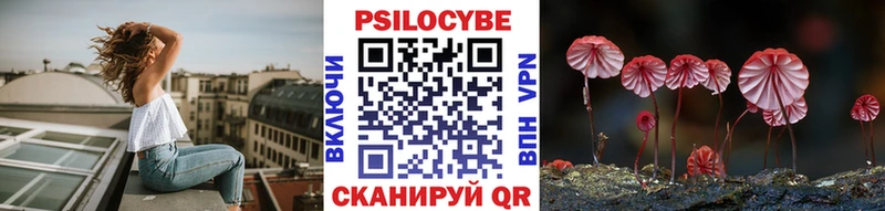 даркнет сайт  Кыштым  Галлюциногенные грибы прущие грибы 